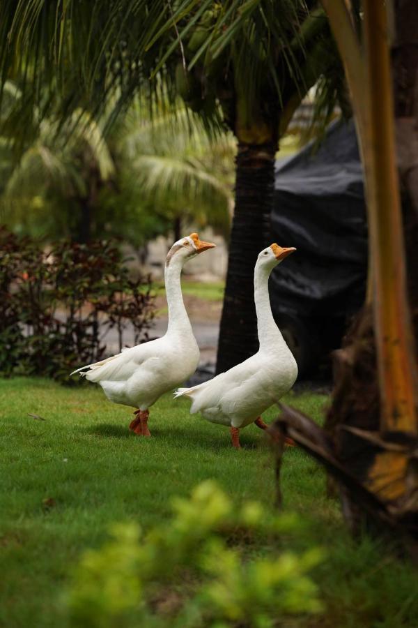 The Kerala Village, Shahapur Shenwa Luaran gambar